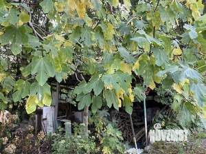 Дом 80м², 2-этажный, участок 13 сот.