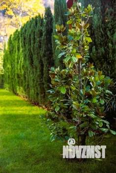 Дом 250м², 2-этажный, участок 12 сот.