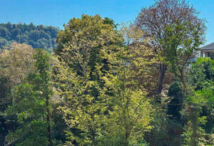 Дом 355м², 3-этажный, участок 5 сот.