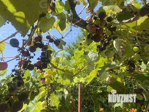 Дом 200м², 3-этажный, участок 4 сот.