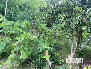 Дом 71м², 2-этажный, участок 7 сот.