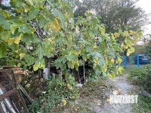 Дом 80м², 2-этажный, участок 13 сот.