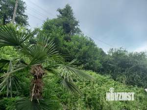 Дом 50м², 2-этажный, участок 11 сот.