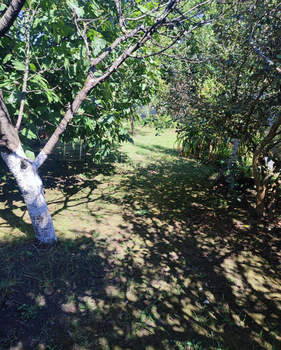 Дом 45м², 2-этажный, участок 6 сот.