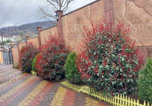 Дом 153м², 2-этажный, участок 4 сот.