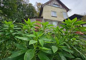 Дом 90м², 3-этажный, участок 6 сот.