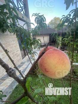 Дом 275м², 3-этажный, участок 6 сот.