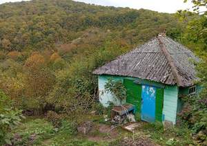 Дом 118м², 1-этажный, участок 24 сот.