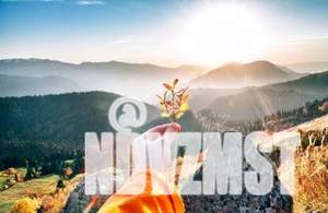 Коттедж 520м², 3-этажный, участок 15 сот.