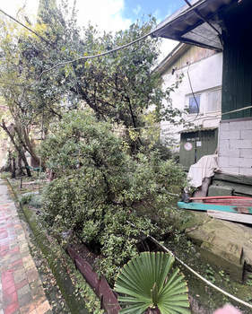 Дом 78м², 1-этажный, участок 7 сот.