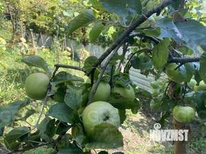 Дом 200м², 3-этажный, участок 4 сот.