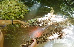 Дом 62м², 2-этажный, участок 50 сот.