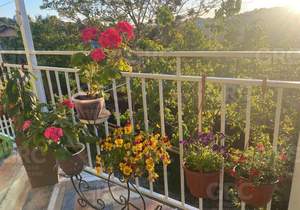 Дом 153м², 2-этажный, участок 4 сот.