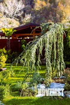 Дом 250м², 2-этажный, участок 12 сот.