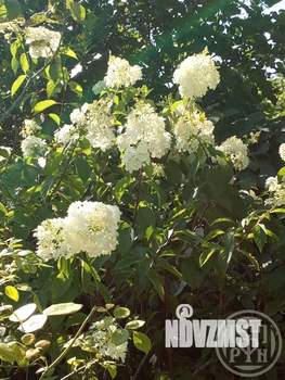 Дом 70м², 2-этажный, участок 7 сот.