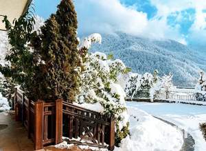 Дом 600м², 2-этажный, участок 50 сот.