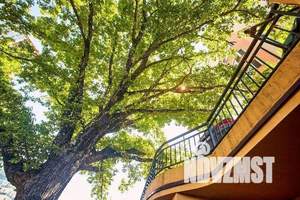 Дом 300м², 2-этажный, участок 4 сот.