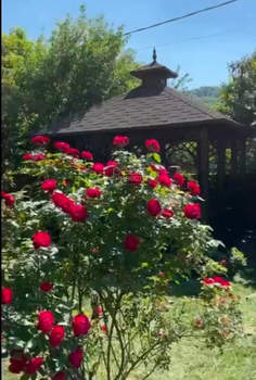 Дом 380м², 3-этажный, участок 11 сот.