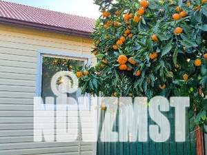 Дом 36м², 1-этажный, участок 5 сот.