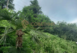 Дом 50м², 1-этажный, участок 5 сот.