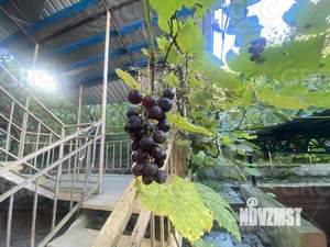 Дом 80м², 2-этажный, участок 6 сот.