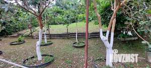 Дом 95м², 3-этажный, участок 9 сот.