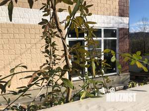 Дом 157м², 2-этажный, участок 5 сот.