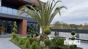 Дом 170м², 2-этажный, участок 6 сот.