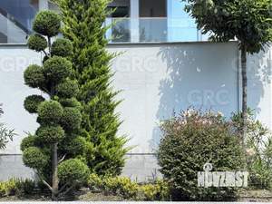 Дом 240м², 2-этажный, участок 4 сот.