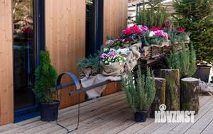 Дом 55м², 2-этажный, участок 50 сот.