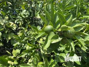 Дом 200м², 3-этажный, участок 4 сот.