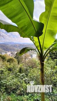 Дом 50м², 2-этажный, участок 2 сот.