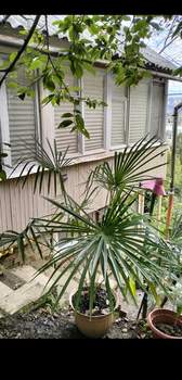 Дом 50м², 2-этажный, участок 2 сот.