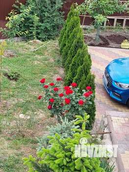 Дом 153м², 2-этажный, участок 4 сот.