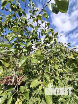 Дом 110м², 3-этажный, участок 8 сот.