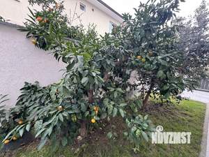 Коттедж 250м², 2-этажный, участок 6 сот.