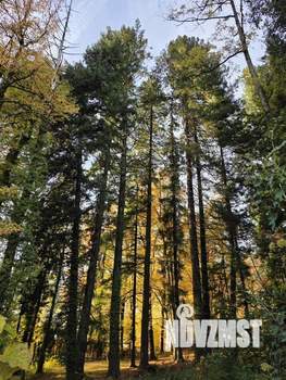 Коттедж 300м², 2-этажный, участок 5 сот.