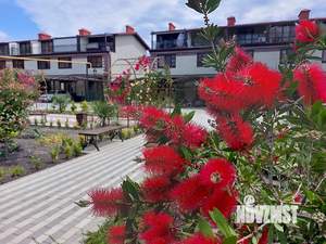 Таунхаус 89м², 3-этажный, участок 1 сот.