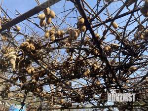 Дом 93м², 2-этажный, участок 8 сот.