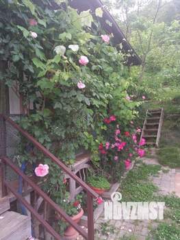 Дом 130м², 3-этажный, участок 5 сот.