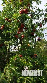 Дом 187м², 3-этажный, участок 5 сот.