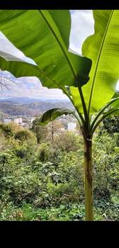 Дом 50м², 2-этажный, участок 2 сот.