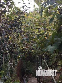 Дом 60м², 2-этажный, участок 5 сот.