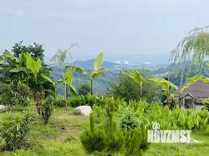 Дом 100м², 1-этажный, участок 35 сот.