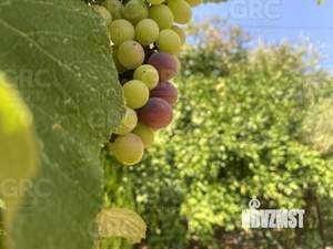 Дом 200м², 3-этажный, участок 4 сот.