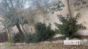 Дом 329м², 3-этажный, участок 15 сот.