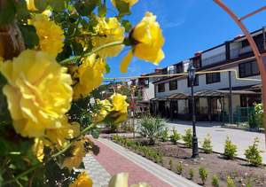 Дом 89м², 3-этажный, участок 0 сот.