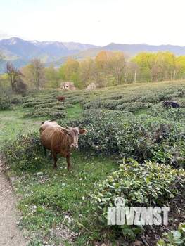 Дом 147м², 2-этажный, участок 6 сот.