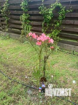 Дом 142м², 2-этажный, участок 6 сот.