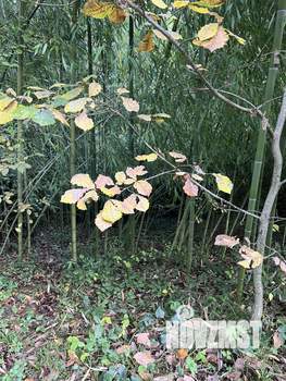 Дом 120м², 2-этажный, участок 18 сот.